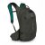 Hátizsák 2022 OSPREY RAPTOR 10 Liter + 2,5l víztartály Cedar Green / Cédrus Zöld
