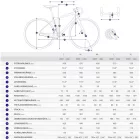 Giant Revolt 1 (2025) Metal - grafitszürke alu vázas, carbon villás Gravel kerékpár