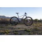 Giant XTC SLR 29" -  2 (2024) Knight Shield - kékes szürke  hardtail XC  mtb kerékpár