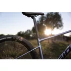 Giant XTC SLR 29" -  2 (2024) Knight Shield - kékes szürke  hardtail XC  mtb kerékpár