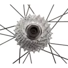 Park Tool BBT-5/FR-11 (Campagnolo) kazetta leszedő