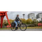 Liv Alight 2 City Disc Metal (2022) Fémes szürke női városi kerékpár