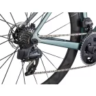 Giant Propel Advanced SL 1  (2023) zöldes ezüst   országúti kerékpár