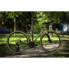 XL 700C POLYGON PATH X5 alu vázas karbon villás gravel kerékpár barna Akció