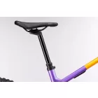 2025 GHOST E-Riot CF Full Party Bosch Gen5 800Wh Karbon fully Enduro Elektromos kerékpár Akció