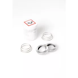   Agyhoz DT Swiss Ratchet System napkerék 18 fogas kit (2 kerék+rugó+zsír)