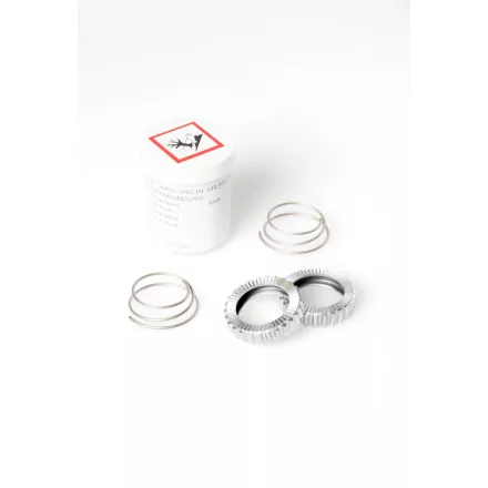 Agyhoz DT Swiss Ratchet System napkerék 18 fogas kit (2 kerék+rugó+zsír)