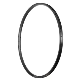 29" 28h 25mm  Notubes ZTR Crest MK4 Disc Abroncs