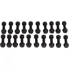   RACE FACE pótalkatrész PEDAL PIN KIT, CHESTER, PIN/NUT, 20 SZETT, 20 SZET
