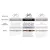 WOLF TOOTH váltó 110x42 BCD Oval a Sram Flattophoz 110x42 BCD Oval