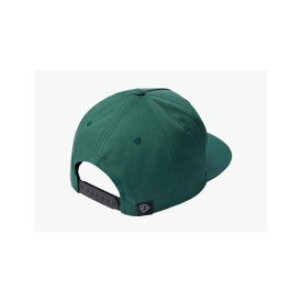 RACE FACE CL Snapback sapka fenyő színben